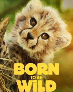 مشاهدة وتحميل مسلسل Born to be Wild الموسم الاول الحلقة 3 مترجمة