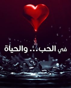 مشاهدة وتحميل مسلسل في الحب والحياة الحلقة 5