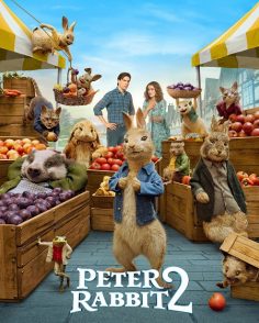 مشاهدة مشاهدة وتحميل فيلم Peter Rabbit 2 The Runaway 2021 مترجم