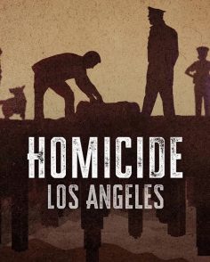 مشاهدة وتحميل مسلسل Homicide 2024 الموسم الاول الحلقة 5 مترجمة