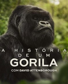 مشاهدة مشاهدة وتحميل فيلم A Gorilla Story Told by David Attenborough 2026 مترجم