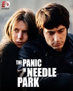 مشاهدة مشاهدة وتحميل فيلم The Panic in Needle Park 1971 مترجم