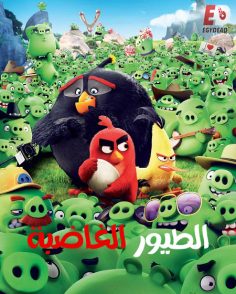 مشاهدة وتحميل فيلم الطيور الغاضبة 2016 مدبلج